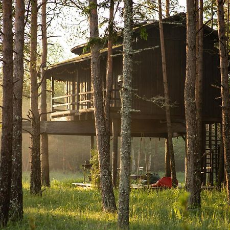 فيلا Sambliku Treehouse Jogisoo المظهر الخارجي الصورة