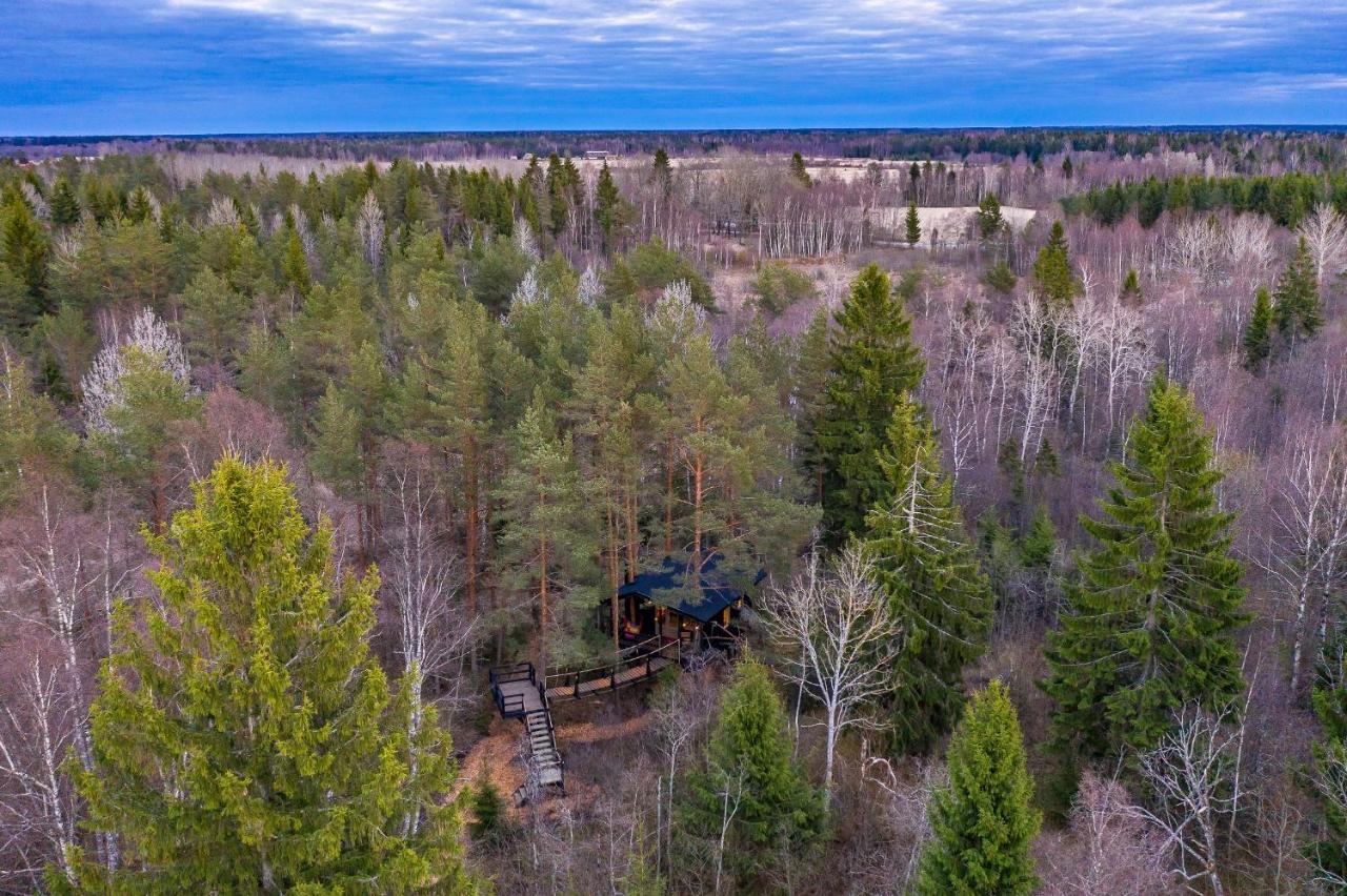 فيلا Sambliku Treehouse Jogisoo المظهر الخارجي الصورة