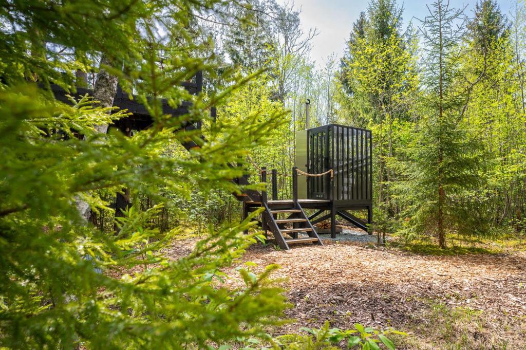 فيلا Sambliku Treehouse Jogisoo المظهر الخارجي الصورة