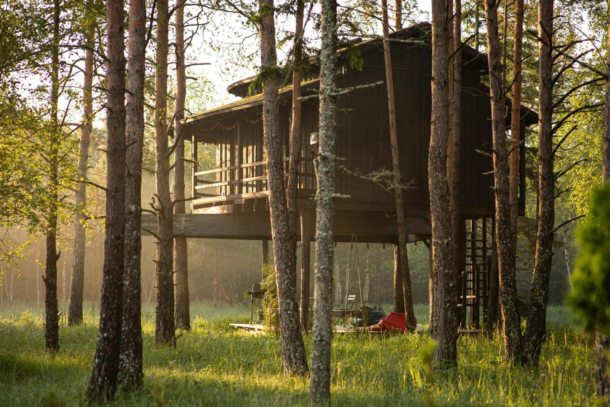 فيلا Sambliku Treehouse Jogisoo المظهر الخارجي الصورة